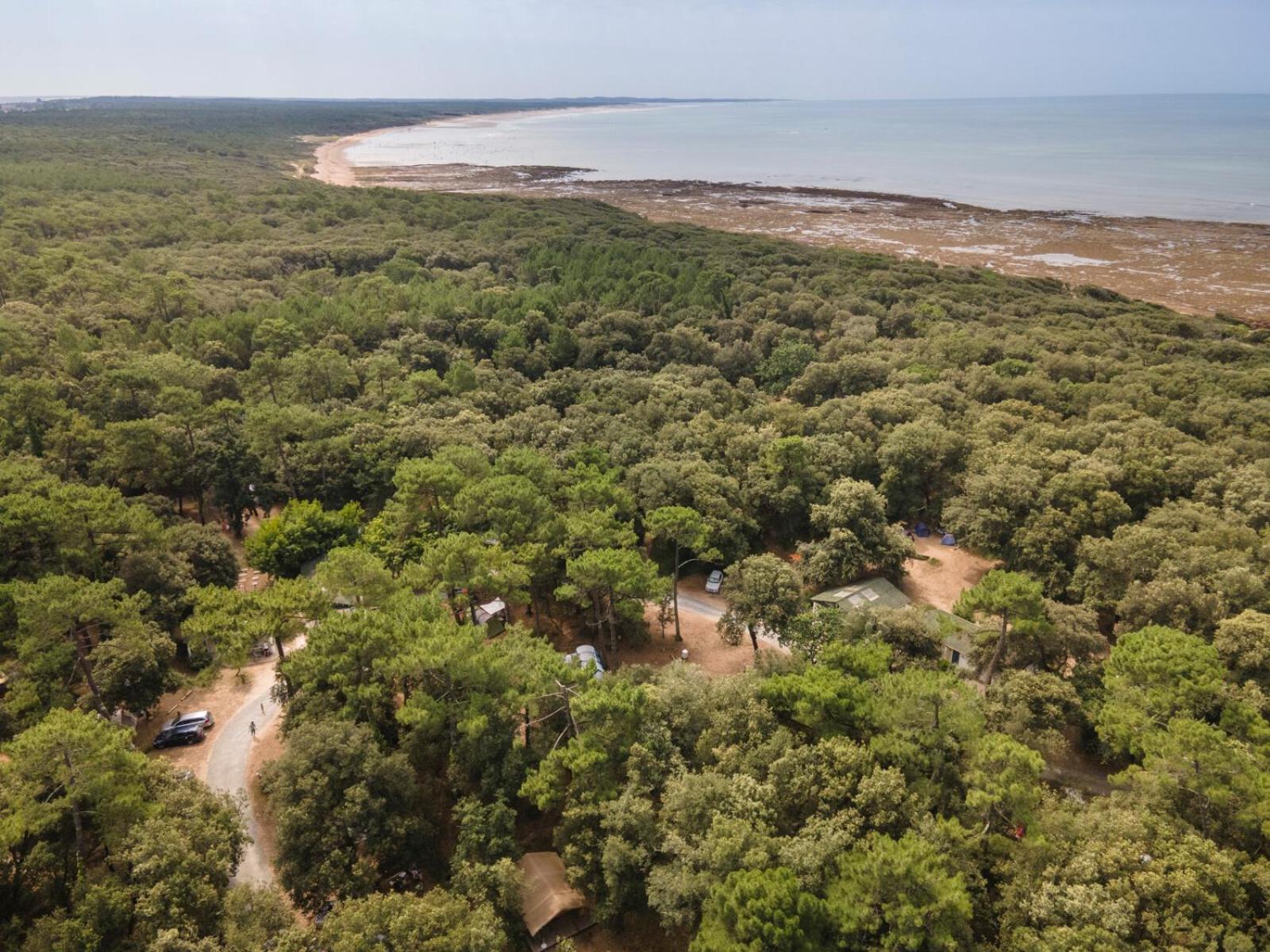 Huttopia Oleron Les Chenes Verts Dolus de Oleron Bagian luar foto